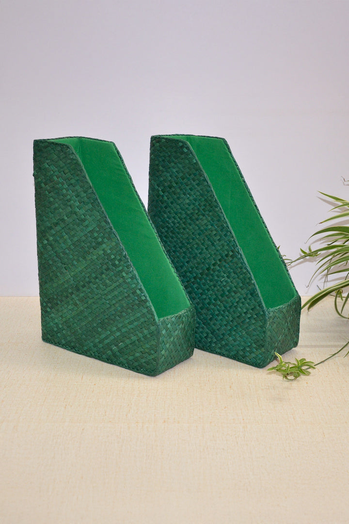 Screw Pine Magazine & File Holder Green