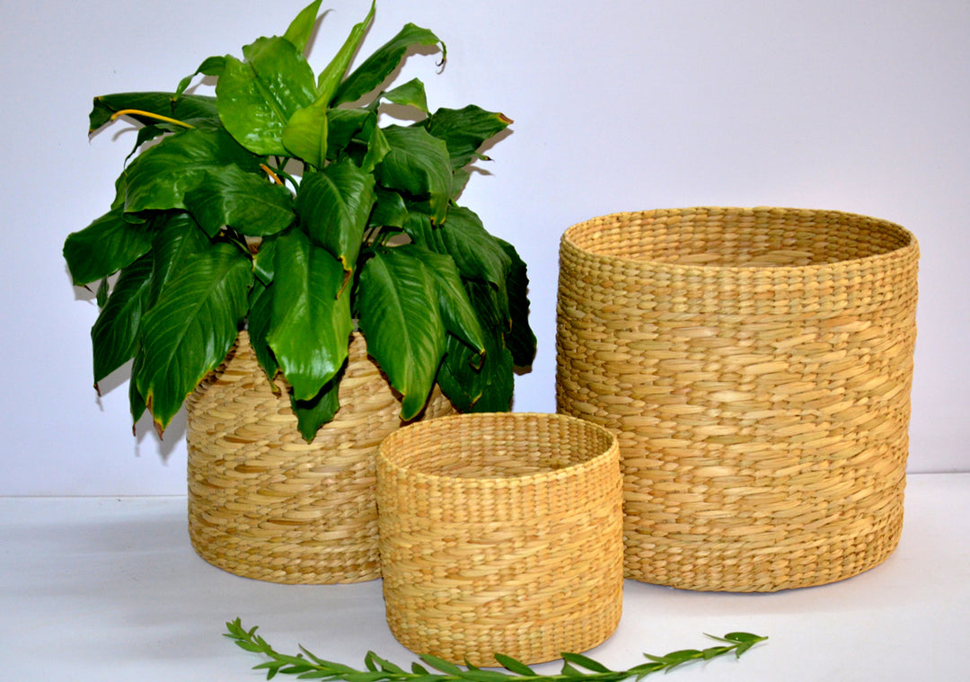 Planters