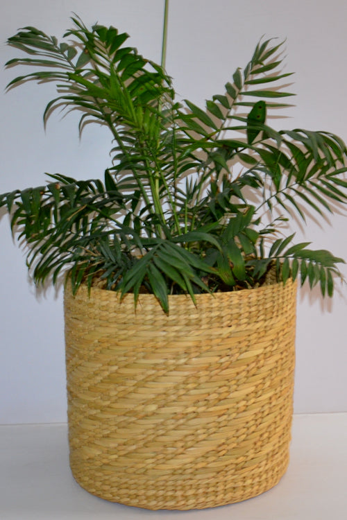 Kauna Planter Natural (Large)