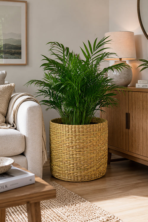 Kauna Round Planter Natural Extra Large