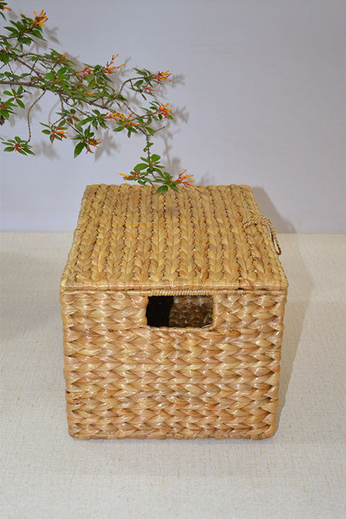 Water Hyacinth Rectangular Storage &amp; Utility Box