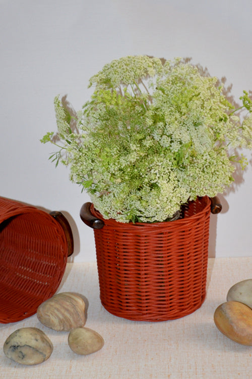 Rattan Planter & Cutlery Holder (Rust)